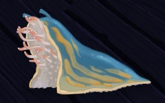 スレスパ2 地下水路の通常「屍ナメクジ」